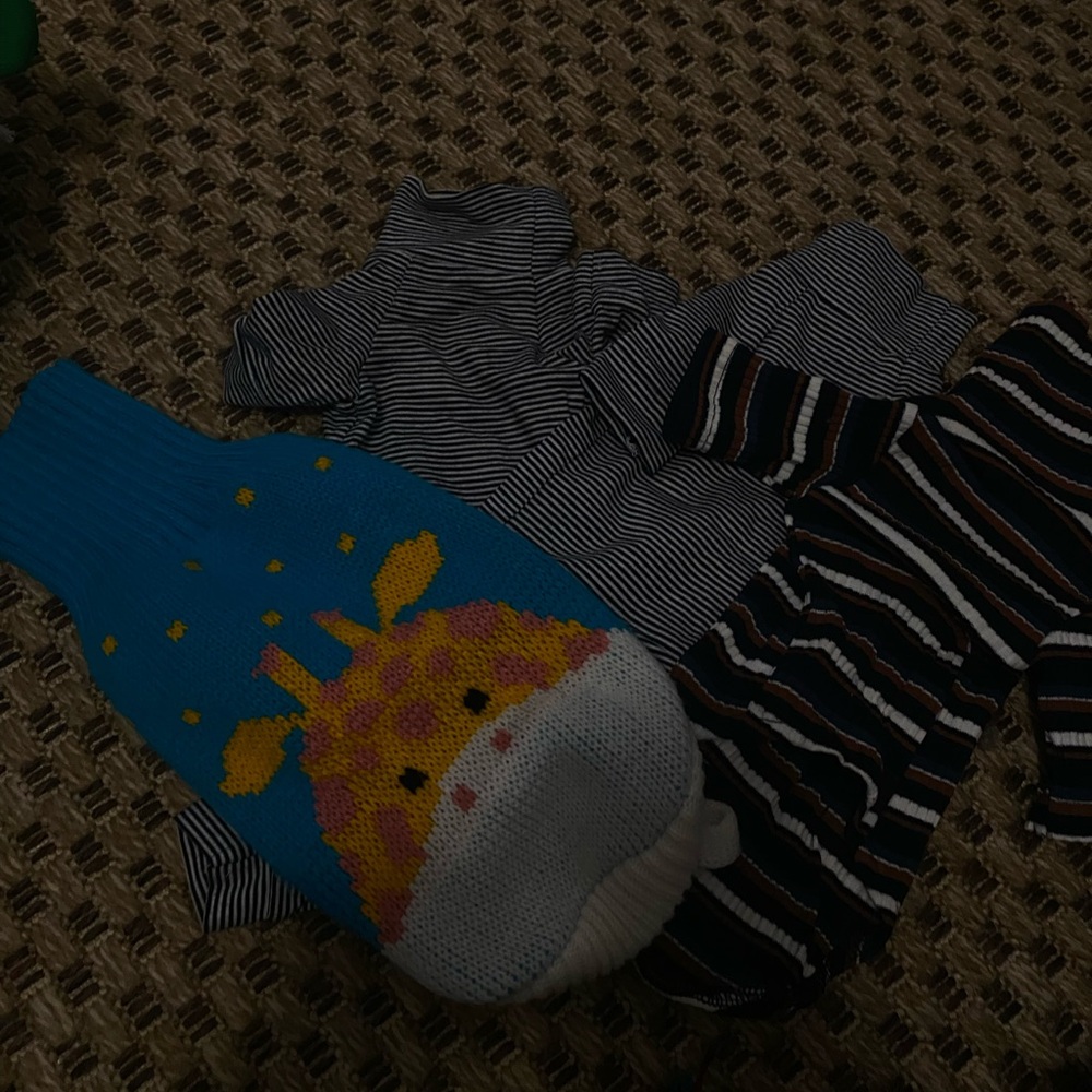 sphynx clothes dress sweaters bundle